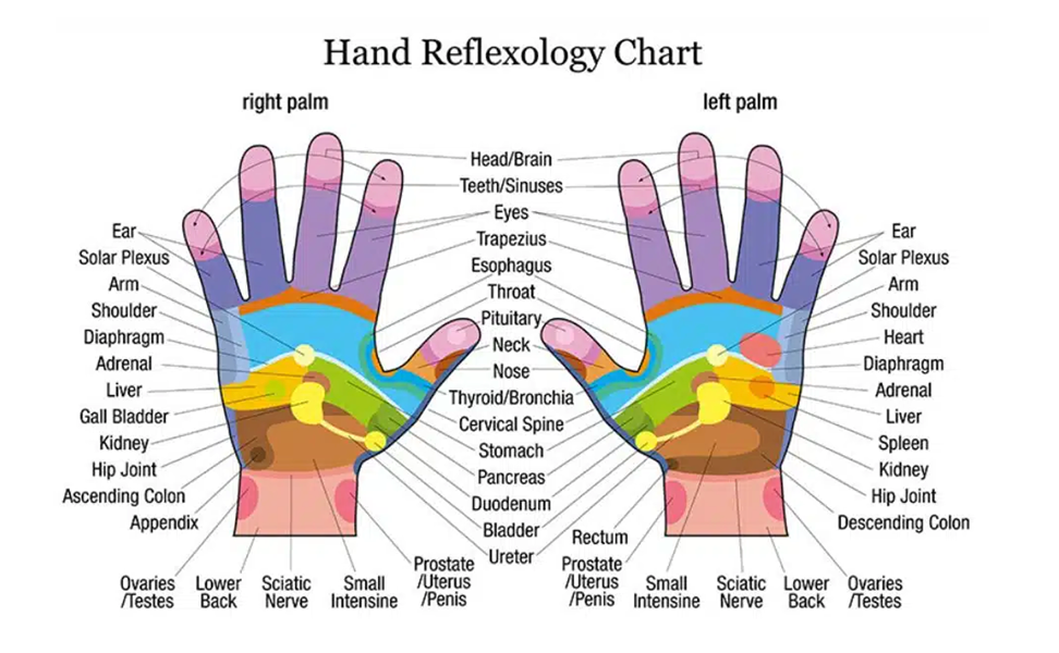 Hand-Reflexology
